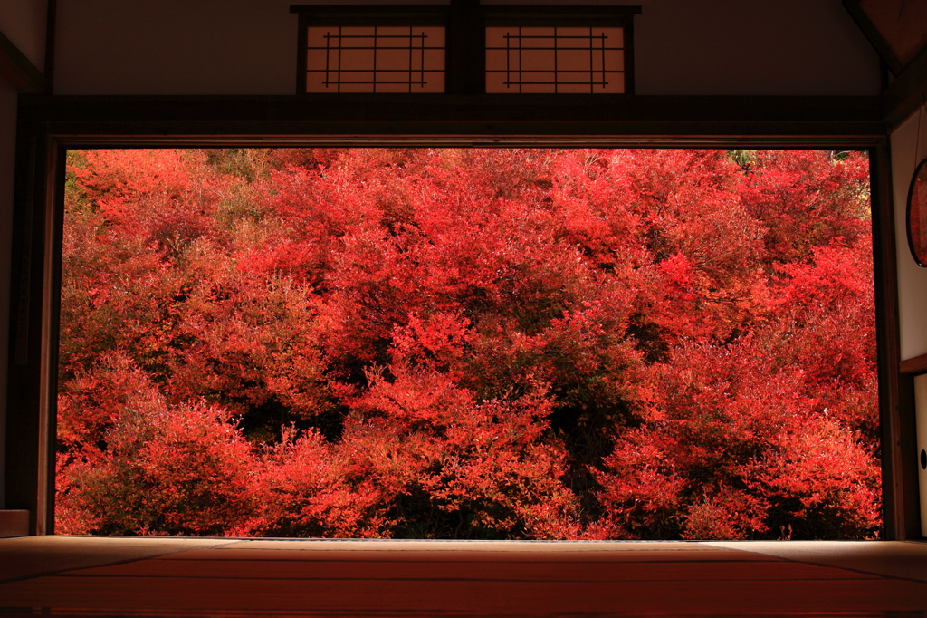 安国寺