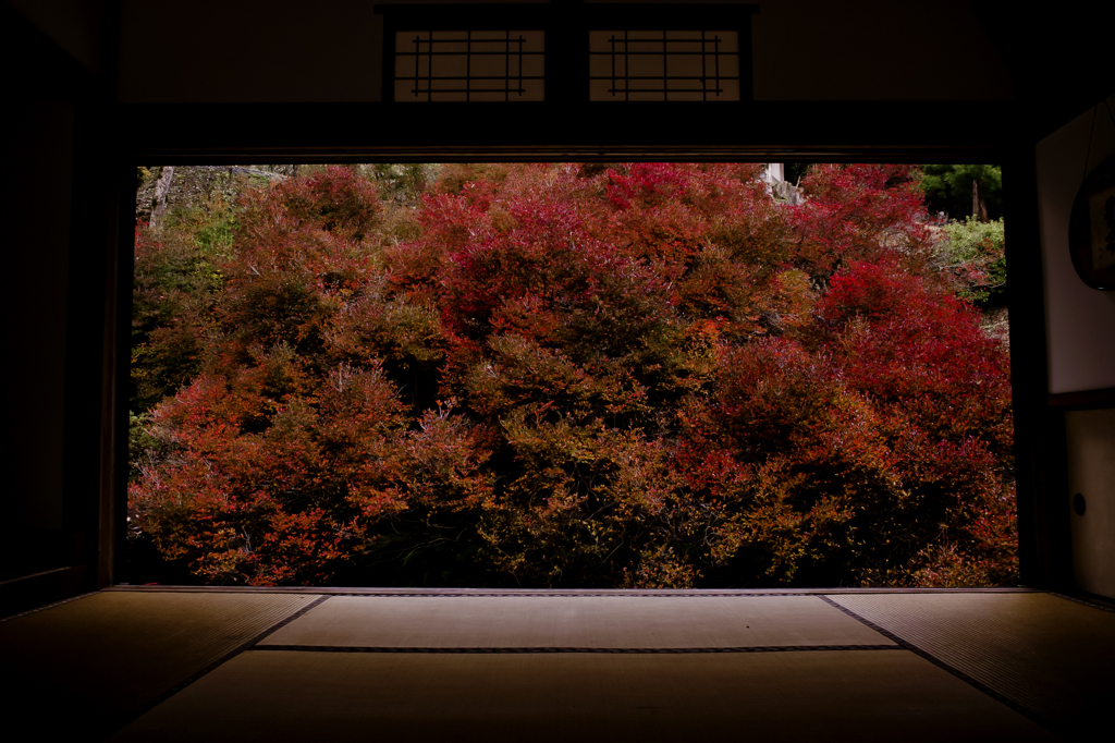 安国寺