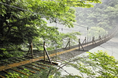 夢の懸け橋