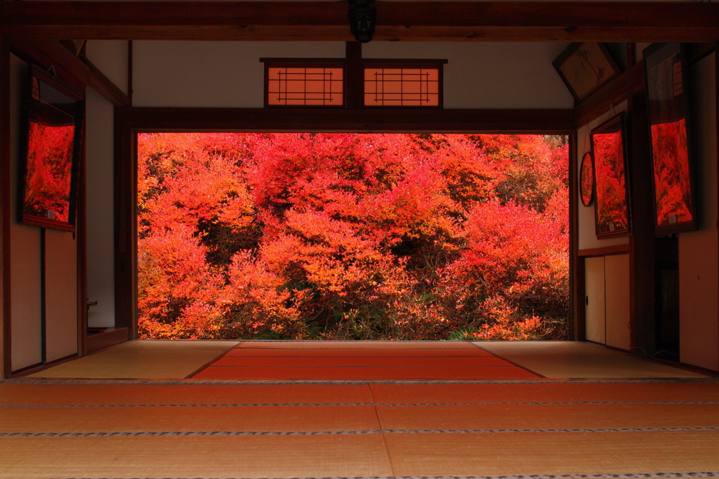 安国寺
