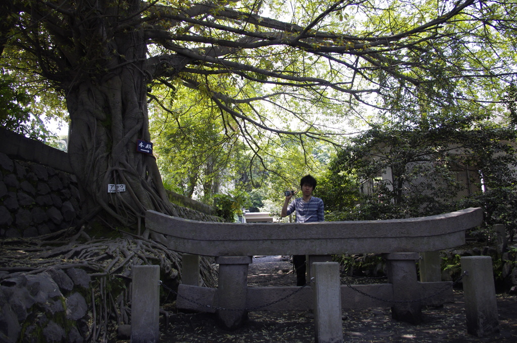 埋没鳥居