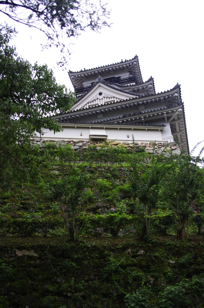 高知城を仰ぐ