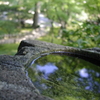 鏡