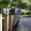 ずっと隣に寄り添っていたい