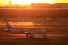 ハピネス3号機　737-800　③