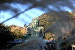 秋の大仏