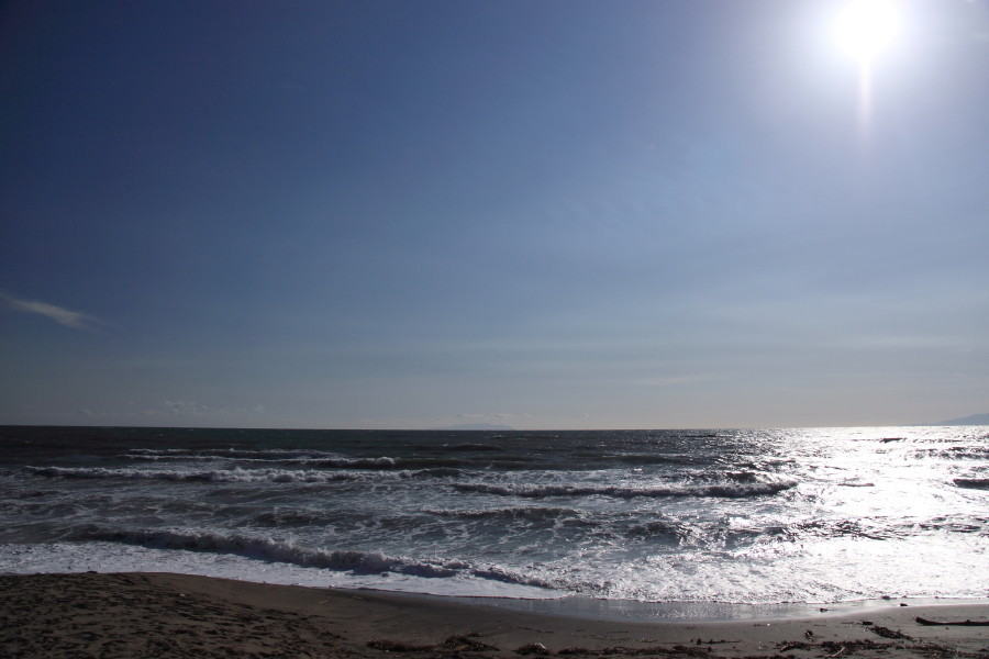 海