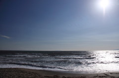海