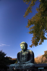 大仏