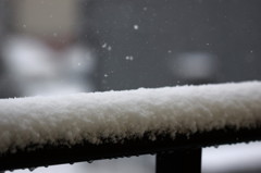 粉雪舞う＾＾