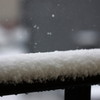 粉雪舞う＾＾