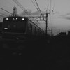 朝の電車