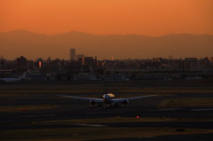 787-8Dreamliner 後姿