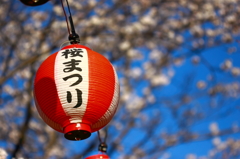 桜まつり