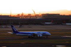 787-8Dreamliner 