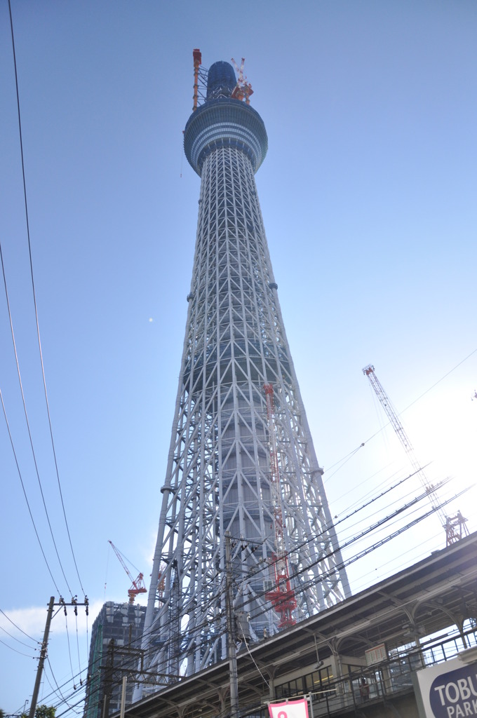 朝日を浴びる東京スカイツリー