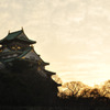 夕日の大阪城