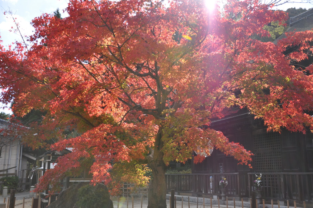 下関長府　功山寺