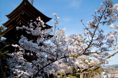 瑠璃光寺五重塔