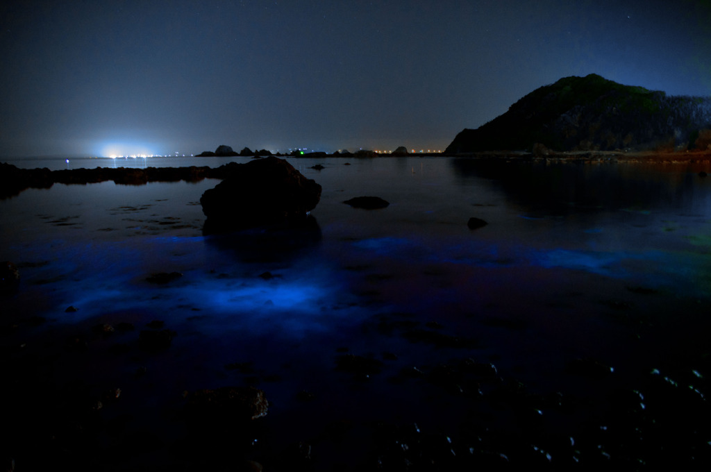 夜光虫 in 土井ヶ浜