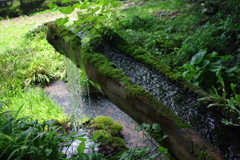 IMGP2110