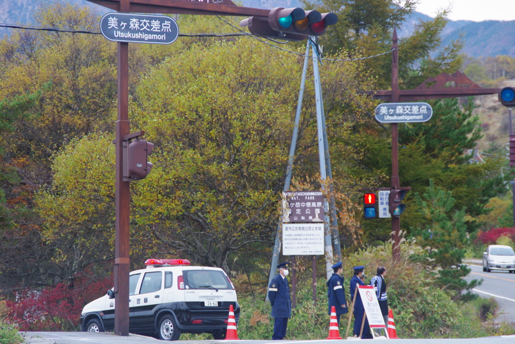 IMGP2887