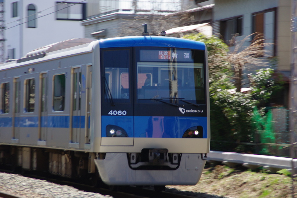 IMGP3932