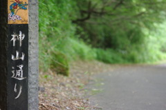 遊歩道　神山通り