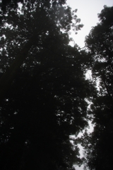 IMGP2190_1