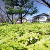 IMGP3986