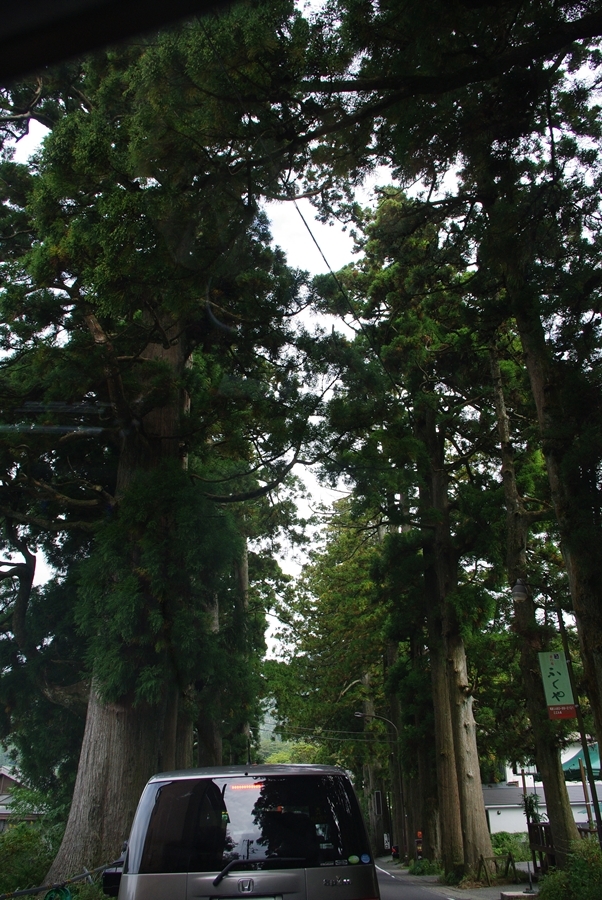 IMGP2759r