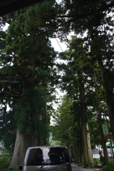 IMGP2759r
