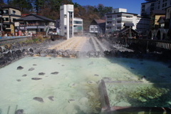 IMGP3223