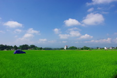 田園風景