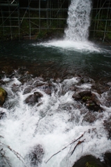 IMGP3426r