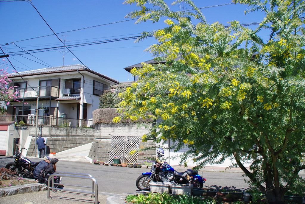 IMGP3970