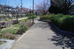 IMGP3963