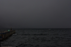 IMGP2201_1