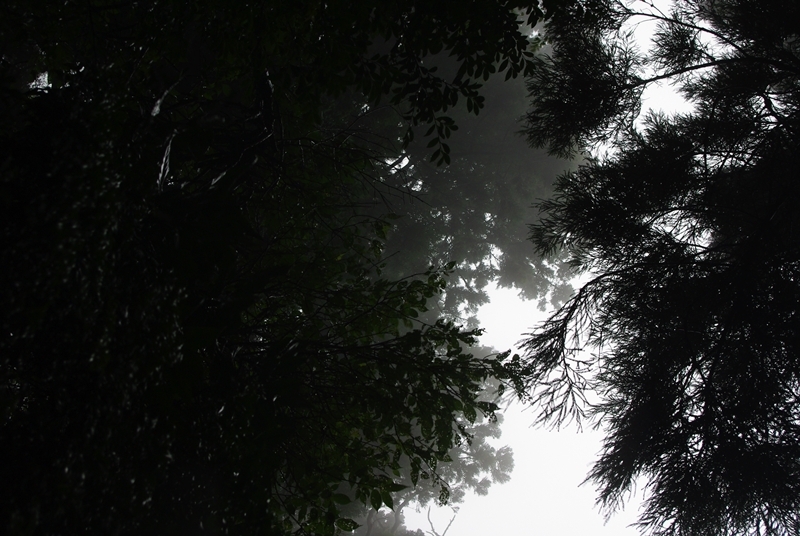 IMGP2195_1