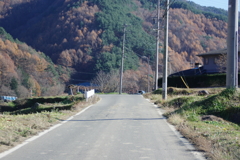 IMGP3228