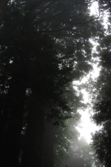 IMGP2192_1