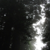IMGP2192_1