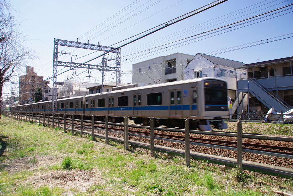 IMGP3915