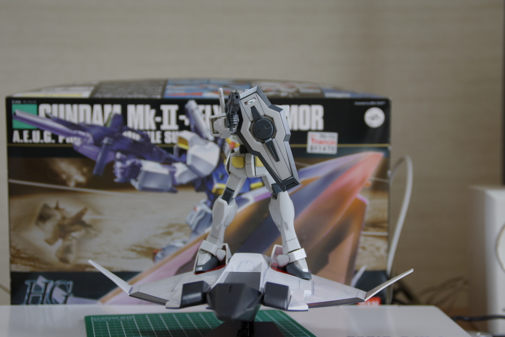 IMGP3107