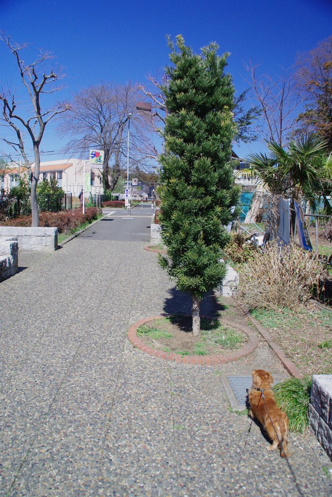 IMGP3893