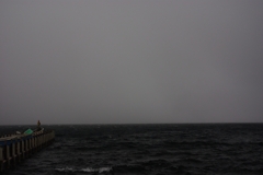 IMGP2203_1