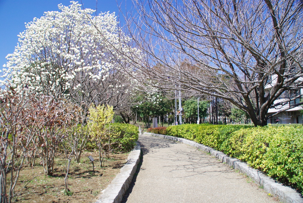 IMGP3951