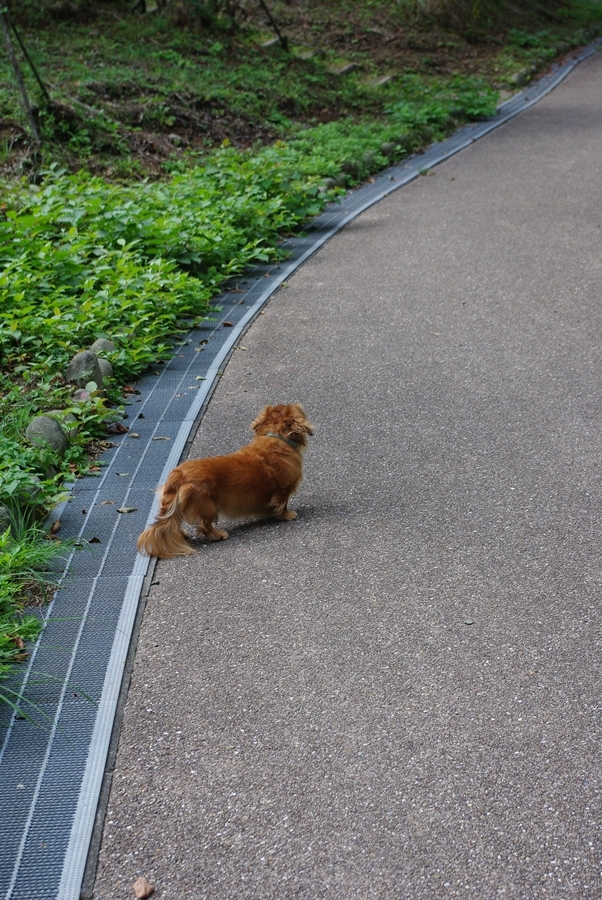 IMGP2769r