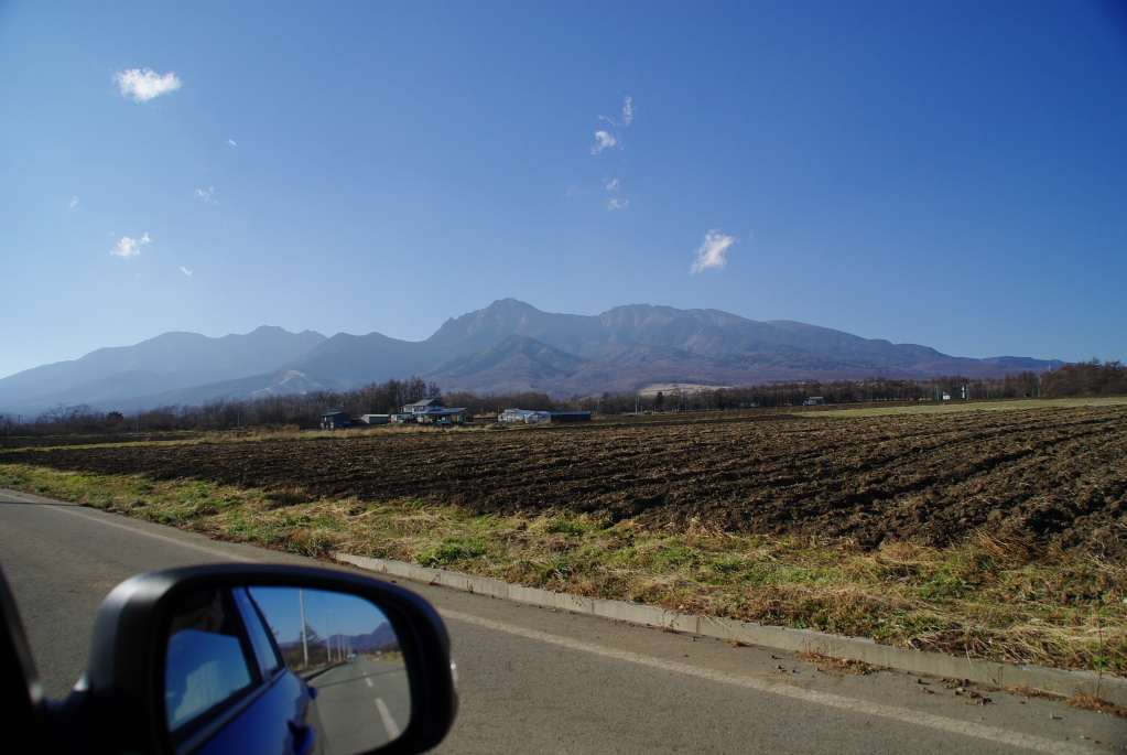 IMGP3231