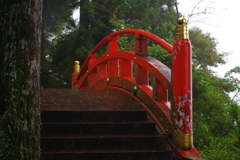 IMGP2197_1
